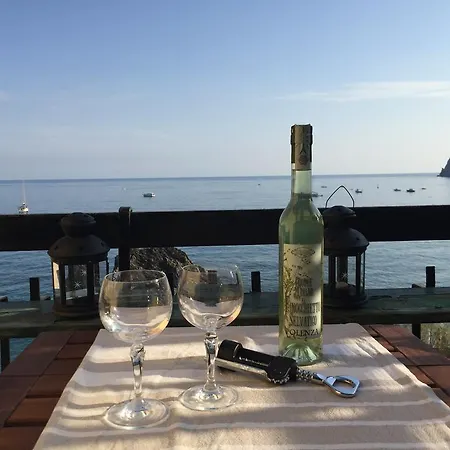 The View