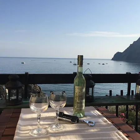 The View