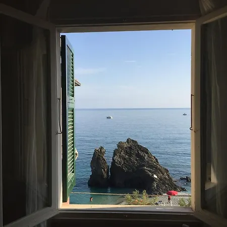 The View